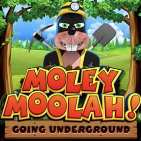 Mega Moolah